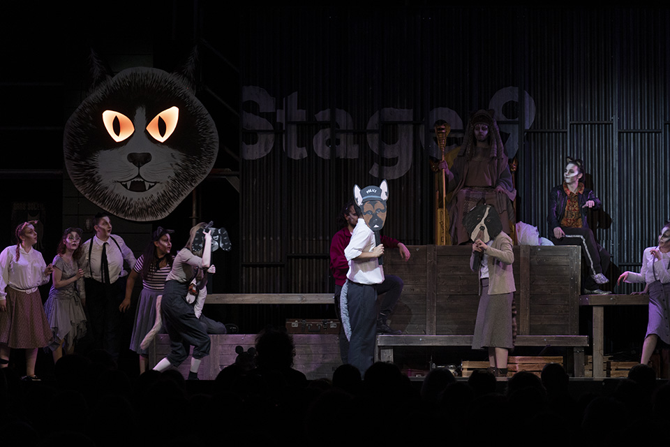 Cats - Musicalgruppe – Bild 2